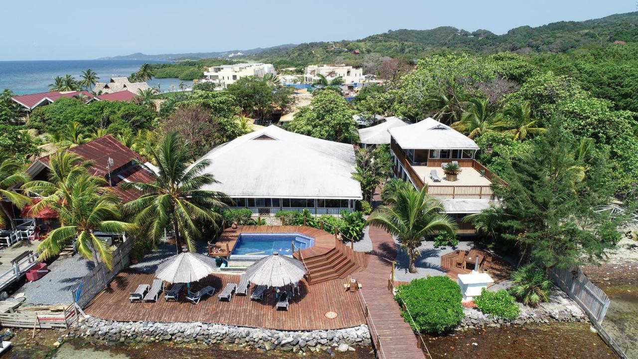 Wikkid Resort Dixon Cove Eksteriør billede